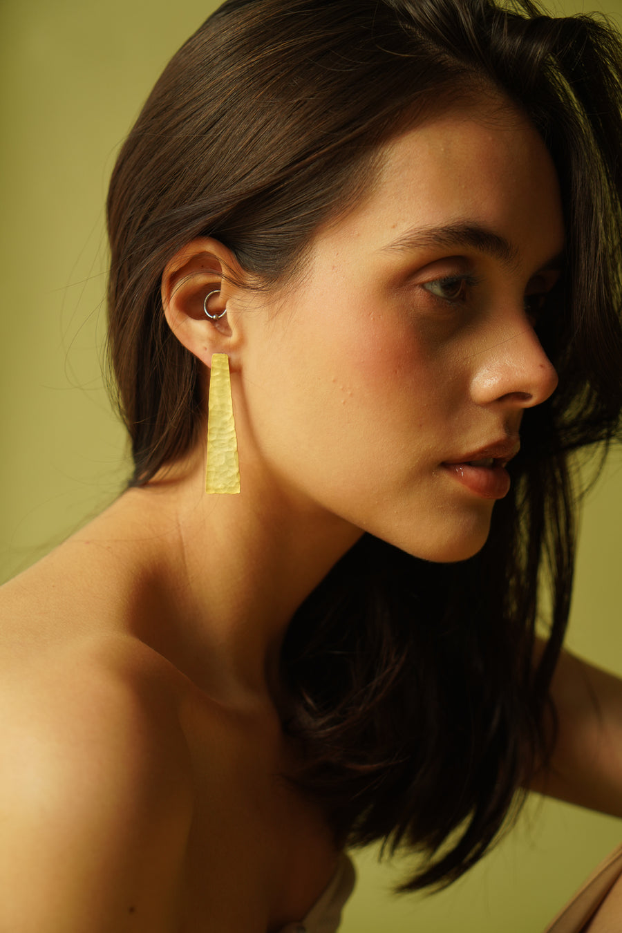 Indie Gold Plated Earrings